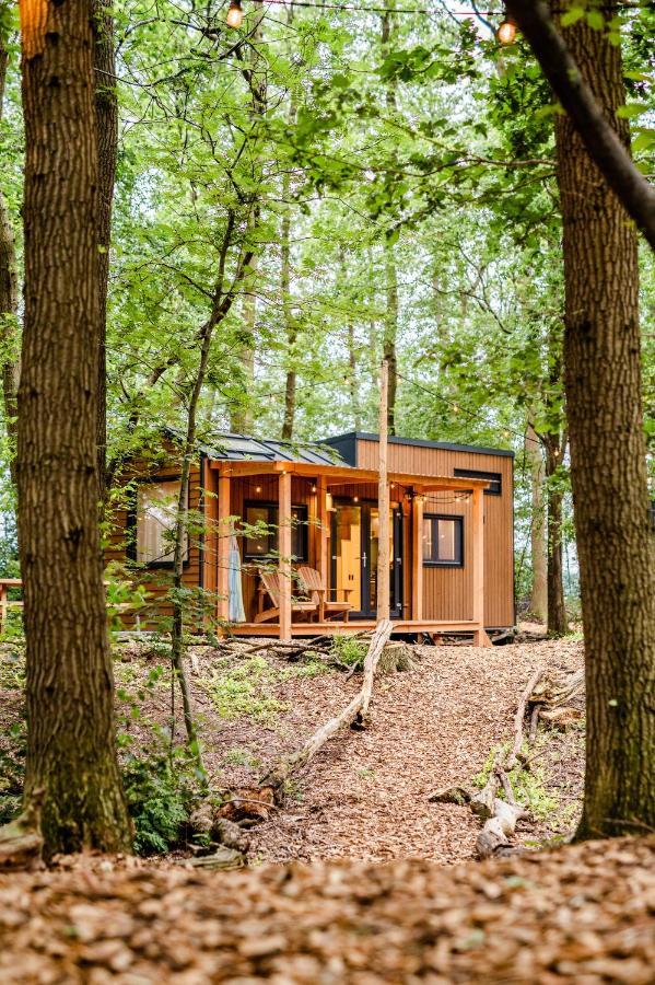 Tinyparks Forest Cabins Hoogersmilde Kültér fotó