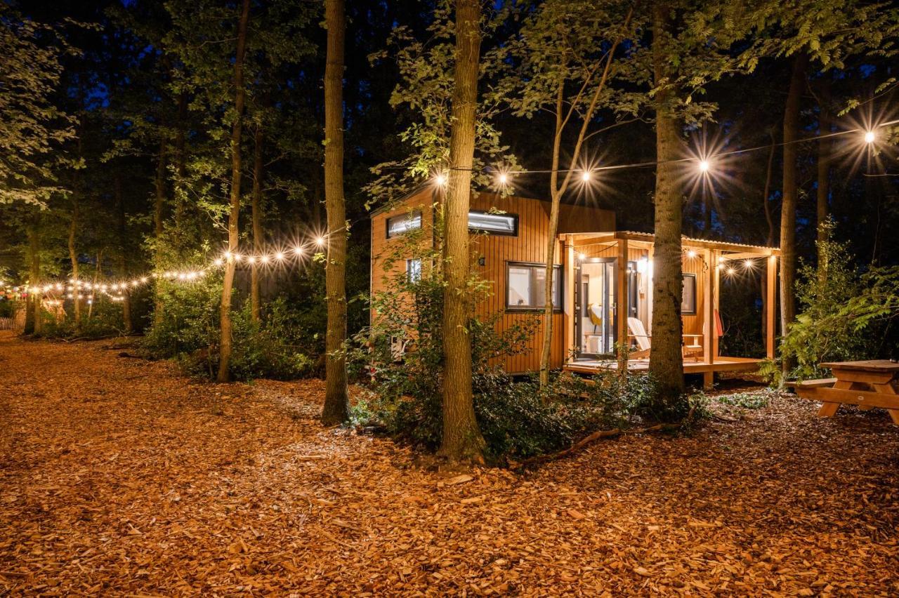 Tinyparks Forest Cabins Hoogersmilde Kültér fotó